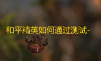 和平精英如何通过测试-最新模拟器已通过测试，未被封禁